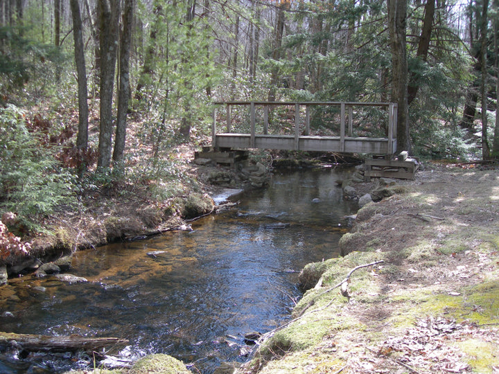 Chuck Keiper Trail: Cranberry Swamp Loop