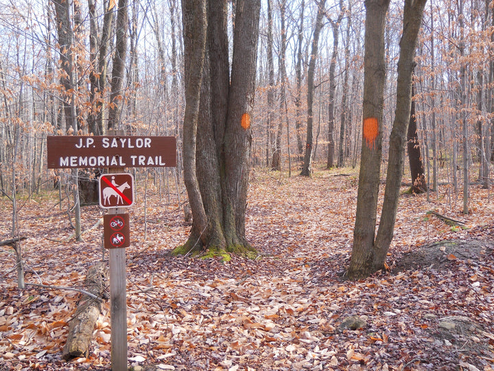 John P. Saylor Trail: Revisiting the Trail