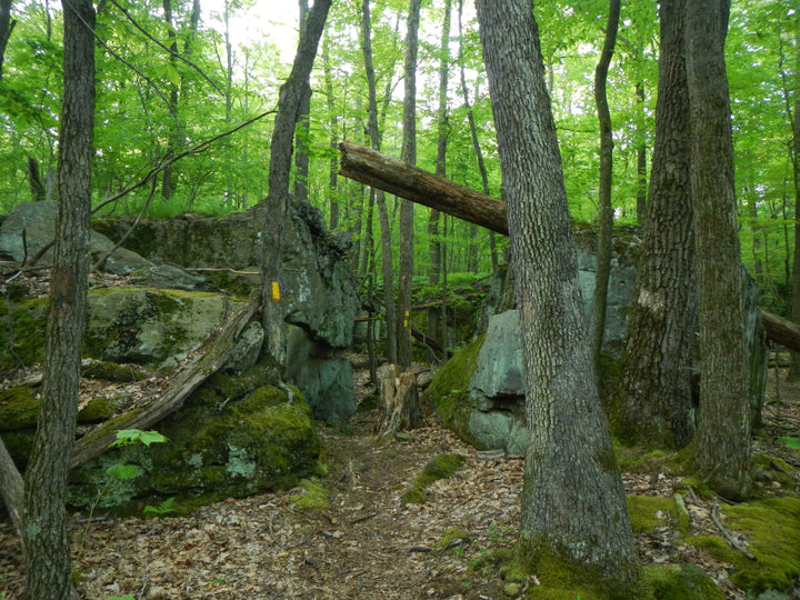 Fred Woods Trail: A Rock City and Awe Inspiring Vistas