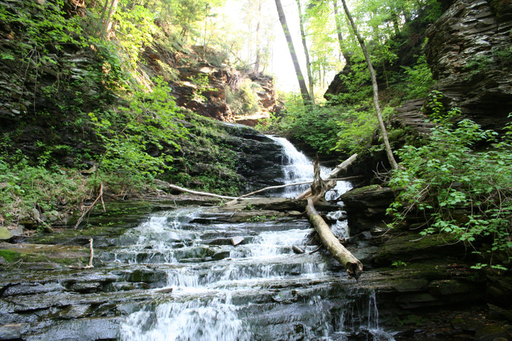 Hiking the Falls Trail at Ricketts Glen State Park