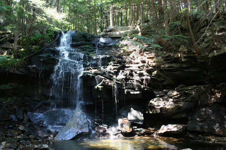 Loyalsock Trail: A Day Hike to the Haystacks