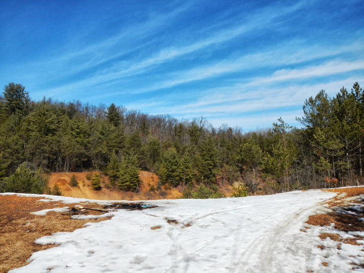 An Early Spring Walk in the Scotia Barrens