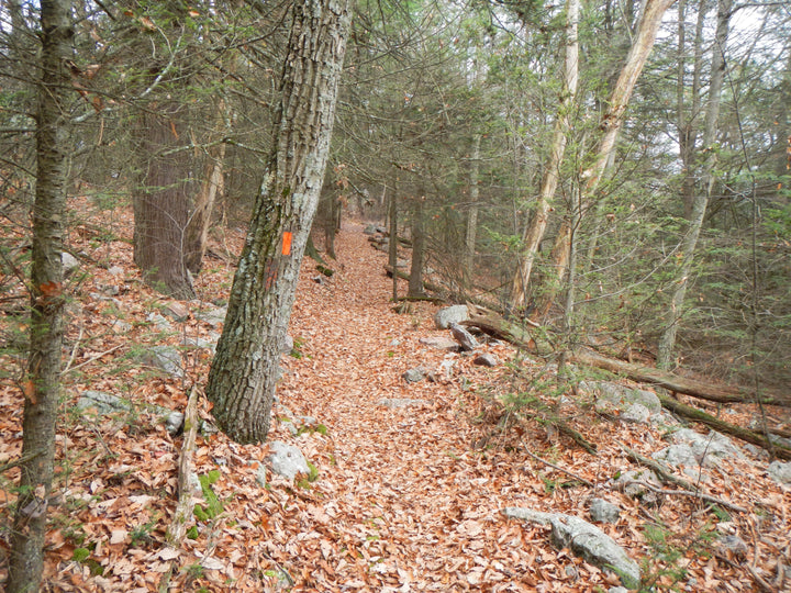 Standing Stone Trail: Scoping Out the Rerouted Turkey Trail