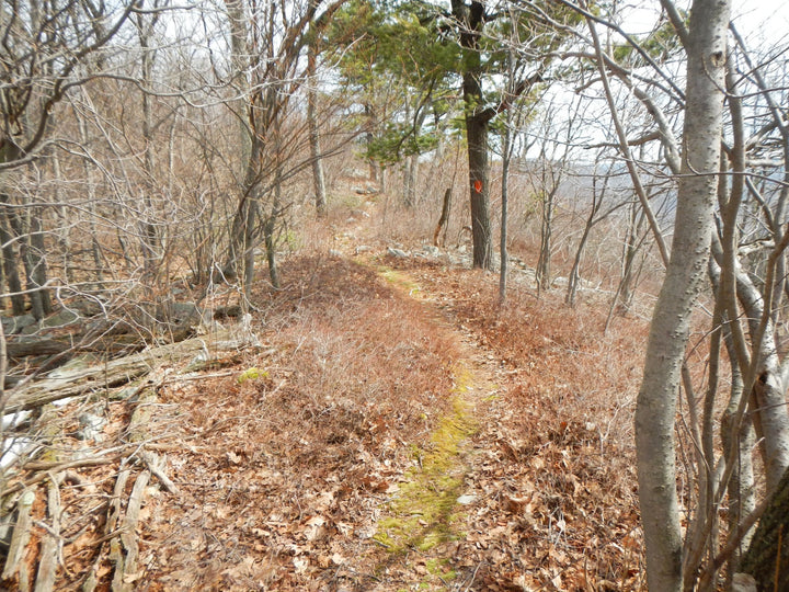 Musser Gap: Hiking on the Musser Gap Trail