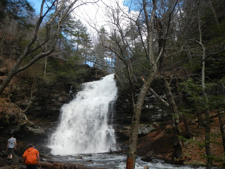 A Group Outing to Ricketts Glen State Park