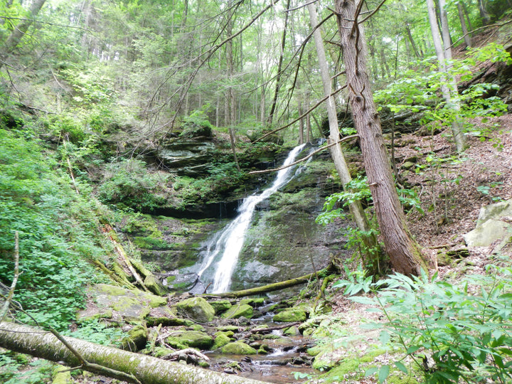 Waterfalls and Vistas on the Bohen and West Rim Trails