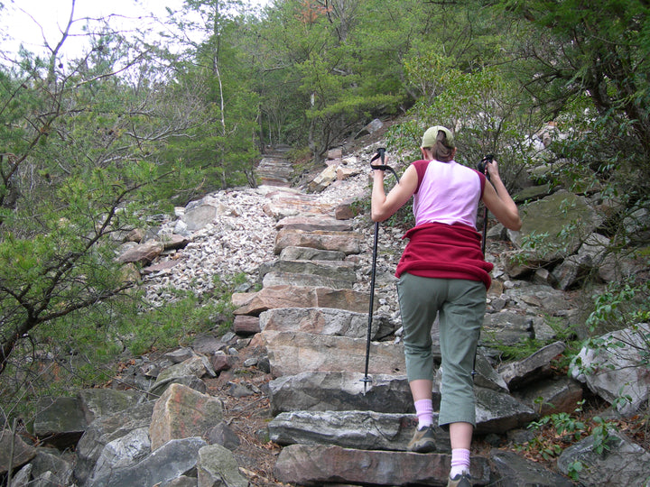 Standing Stone Trail: Climbing the Thousand Steps