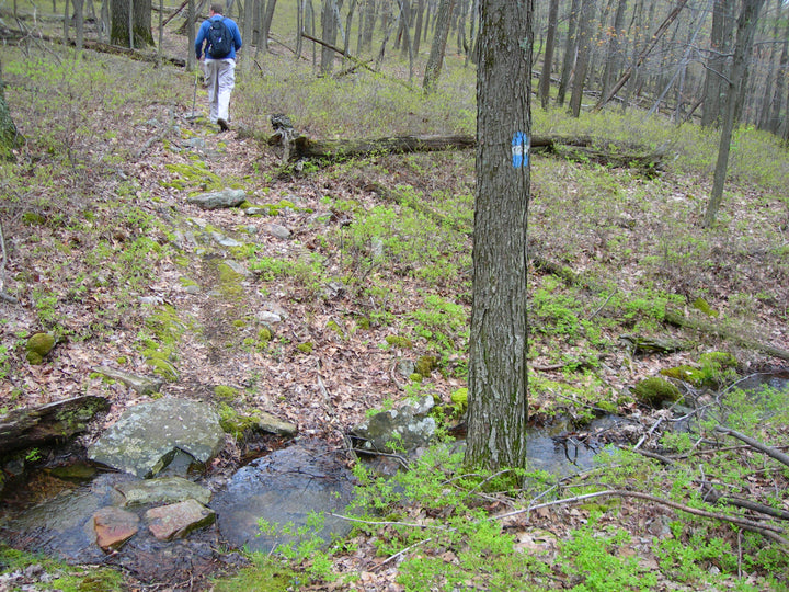 Shingletown Gap: From Bald Knob to the Mid State Trail