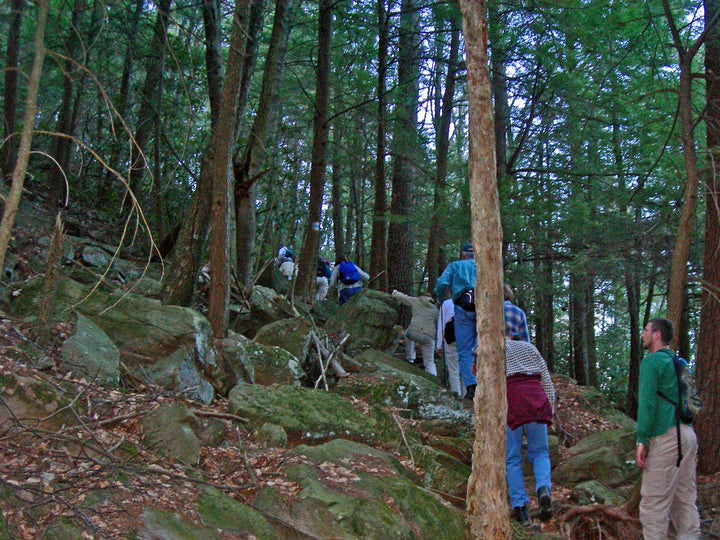Shingletown Gap: Hiking with the Ridge and Valley Outings Club