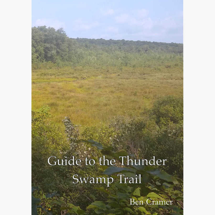 Guide to the Thunder Swamp Trail